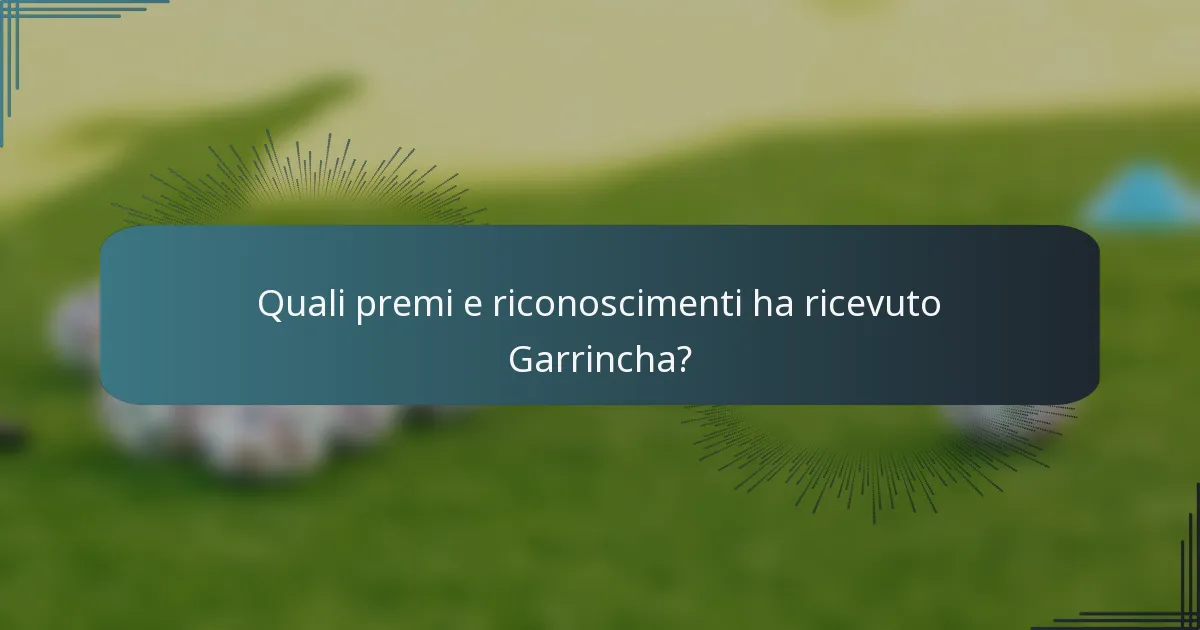 Quali premi e riconoscimenti ha ricevuto Garrincha?