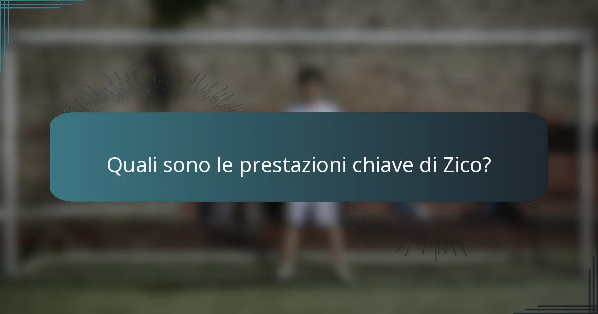 Quali sono le prestazioni chiave di Zico?